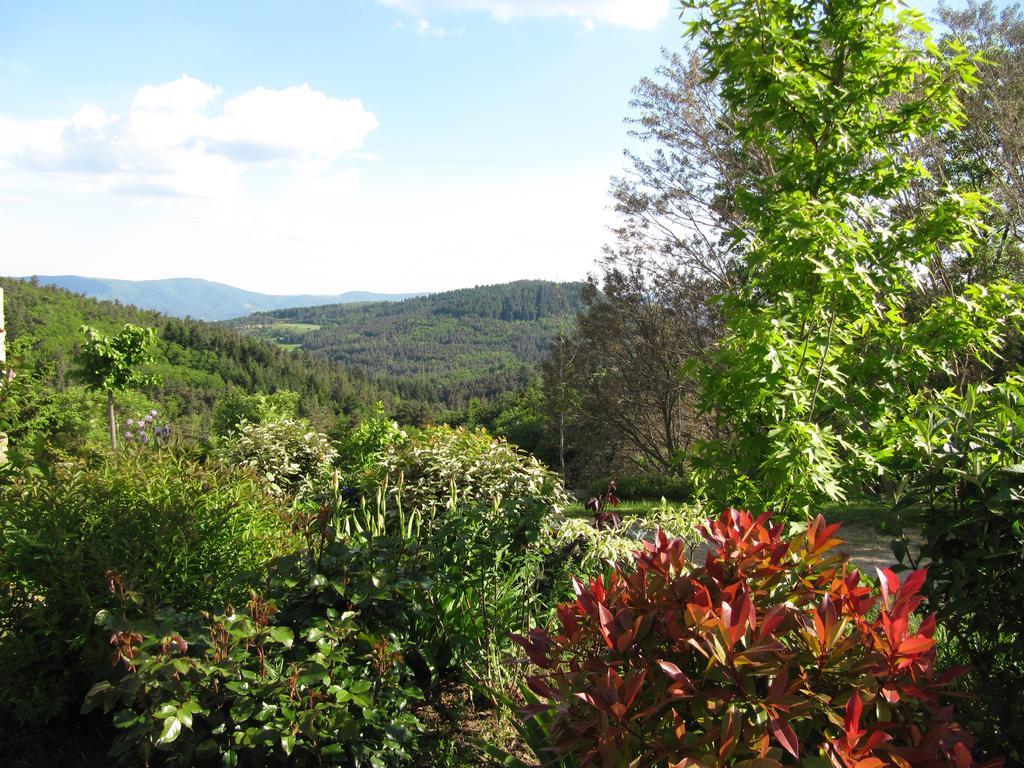 Le Petit Rias Gite Soleil Saint Maurice en Chalencon Zewnętrze zdjęcie